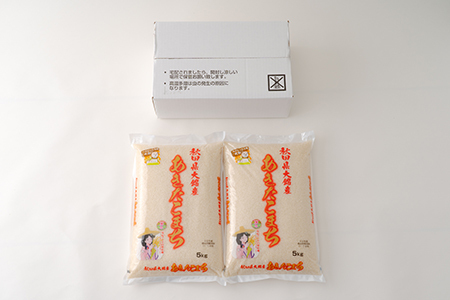 【令和7年産】秋田県大館産あきたこまち10kg(5kg×2)　120P9006
