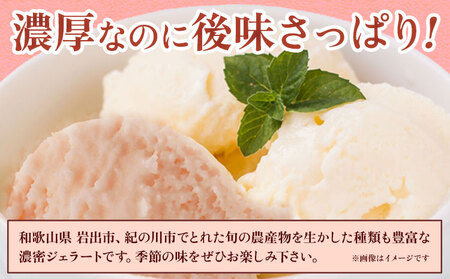 季節のジェラート 6種セット(ミルク・桃+ランダム4種)《30日以内に出荷予定(土日祝除く)》｜アイスアイスアイスアイスアイス