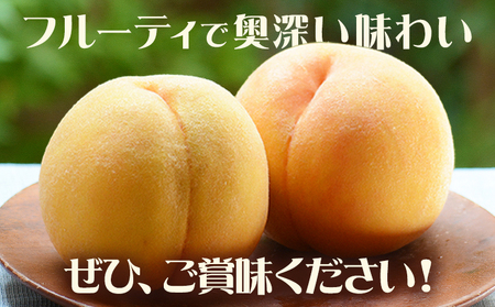 桃 サンゴールド 2kg 黄桃
