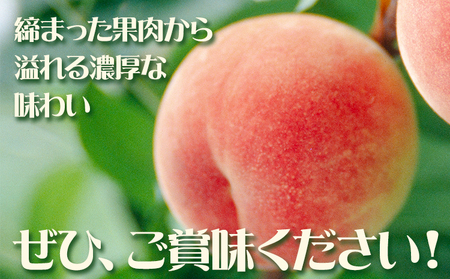 もも 川中島白桃 2kg　桃
