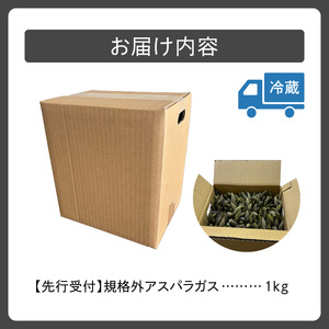 《令和8年産先行予約》訳ありアスパラ 1kg アスパラガス _S021-0012