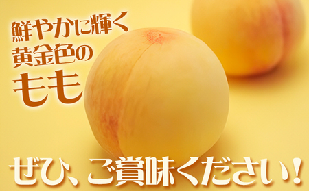 黄金桃 2kg　もも 黄桃