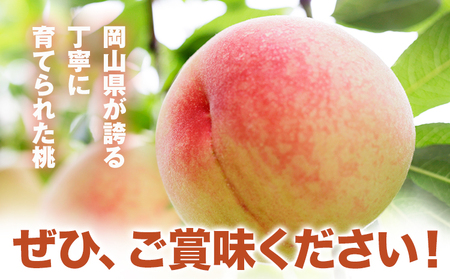 桃 紅清水・白鳳 どちらかお届け 2kg　白桃
