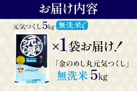 【無洗米】令和7年産 金のめし丸 元気つくし 精米 5kg 米 無洗米 元気つくし 森光商店 老舗 福岡 お米 ごはん ご飯 お弁当 おにぎり 金のめし丸県産米 福岡ブランド米 めし丸 志免 志免町 福岡県