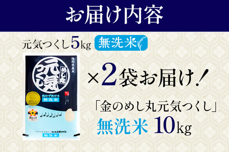 【無洗米】令和7年産 金のめし丸 元気つくし 精米 10kg（5kg×2） 米 無洗米 元気つくし 森光商店 老舗 福岡 お米 ごはん ご飯 お弁当 おにぎり 金のめし丸県産米 福岡ブランド米 めし丸 志免 志免町 福岡県