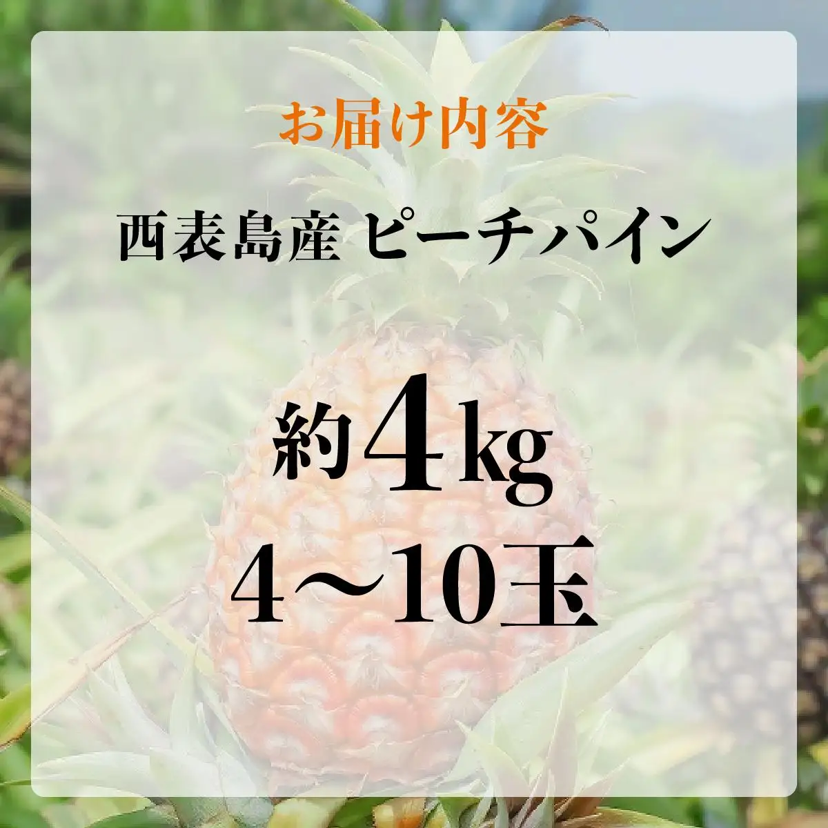 ピーチパイン4kg（4～10玉）