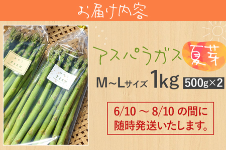 【ふるなびWEEK対象】数量限定 アスパラ 夏芽 M~Lサイズ 1kg（500g×2）予約受付 2026年6月～8月頃に順次発送  野菜 農家直送  アスパラガス 福岡 九州 グルメ お取り寄せ
