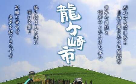 龍ケ崎コロッケ4個＆龍ケ崎漬け(秘伝の豚肉みそ漬け)250gセット| コロッケ 豚 味噌
