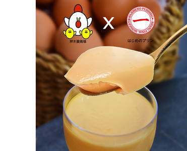 紅孔雀プリン10個セット【配送不可地域：離島】【プリン ぷりん ギフト プリン 贈答用 プリン専門店 プリン スイーツ お取り寄せ プリン 内祝い 取り寄せ プリン お取り寄せグルメ 甘味 プリン お歳暮 お祝い プリン 厳選素材 洋菓子 プリン お菓子 デザート おかし ご褒美 セット 新鮮 プリン 人気 卵 こだわり プリン 濃厚】