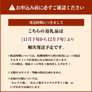 DS-10　あたご梨 5kg
