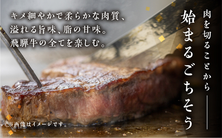 【ふるなび限定】定期便 飛騨牛 3回 定期便 トキノ屋食品 FN-Limited-PR