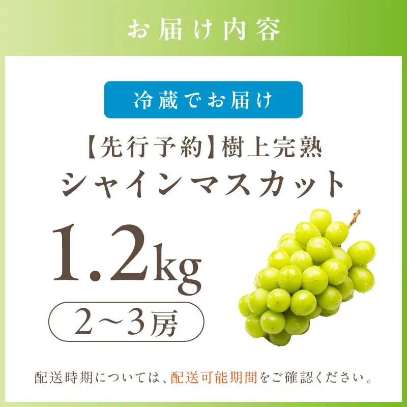 【ふるなびWEEK対象】シャインマスカット 樹上完熟 1.2kg 2～3房