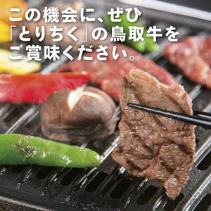 鳥取牛サンカクバラ焼肉用 600g（冷凍）