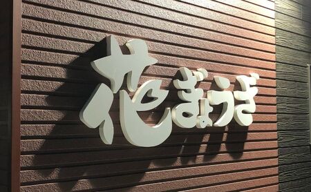 花餃子110個(22個入×5袋）3ヶ月毎4回お届け 加工品 惣菜 冷凍餃子 ヘルシー おかず つまみ 中華 お酒のあて 夕飯 餃子パーティー ビールのつまみ 