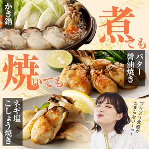 牡蠣冷凍むき身1kg＋牡蠣ご飯の素（昆布醤油味）