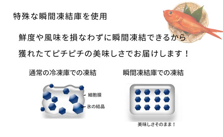 銚子釣り金目 特大金太郎 1kg 金目