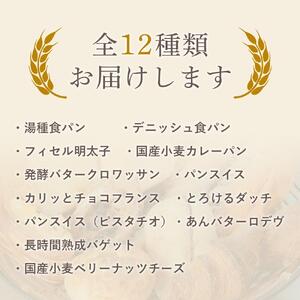 【定期便 全3回】おすすめパン 12個×3（計36個） 冷凍パン
