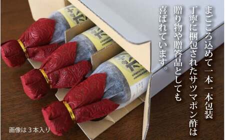 【12回定期便】 サツマポン酢 2本×12回 毎月お届け 鹿児島屋台村SATSUMA 甘口 調味料 ぽん酢 ポン酢 GS-028