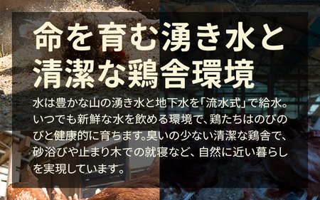 卵 平飼いたまご 新鮮卵 24個 月2回定期便 3ヵ月
