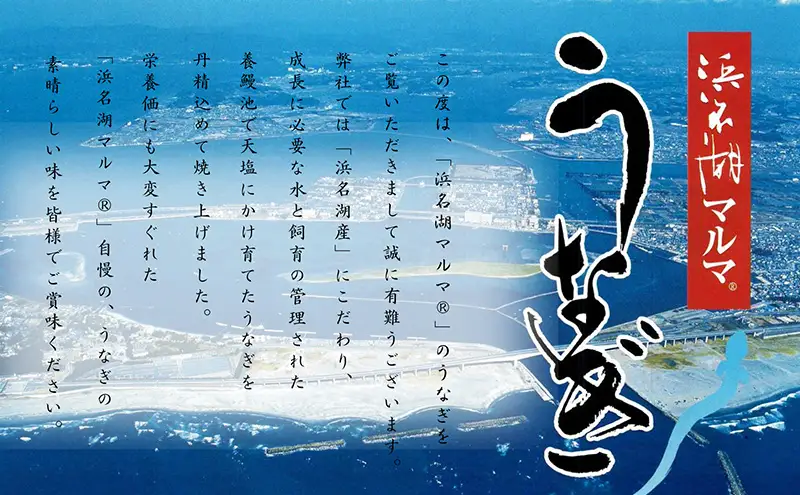 うなぎ 浜名湖 国産 うなぎ蒲焼4本セット 合計520g うなぎ蒲焼 浜名湖産 国産うなぎ 惣菜 おかず ギフト 贈答 土用の丑の日 丑の日 蒲焼き 鰻 真空パック 冷凍 静岡 浜松市