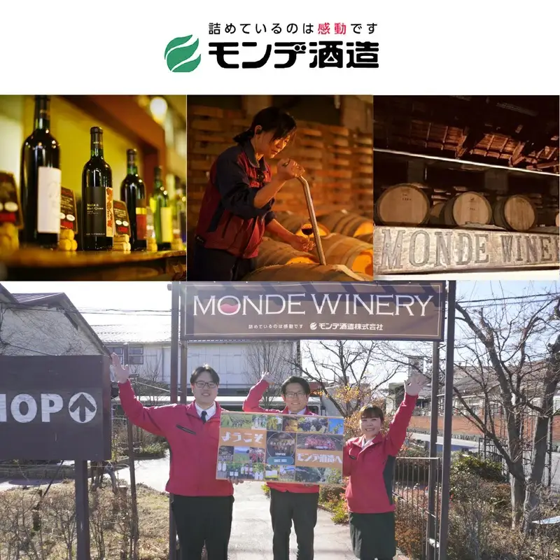 【モンデ酒造ふるさと納税】プティモンテリアシリーズ各種3本セット（やや辛口/白・やや重口/赤・やや辛口/白スパークリングワイン・やや辛口/ロゼスパークリングワイン 全12本）018-041
