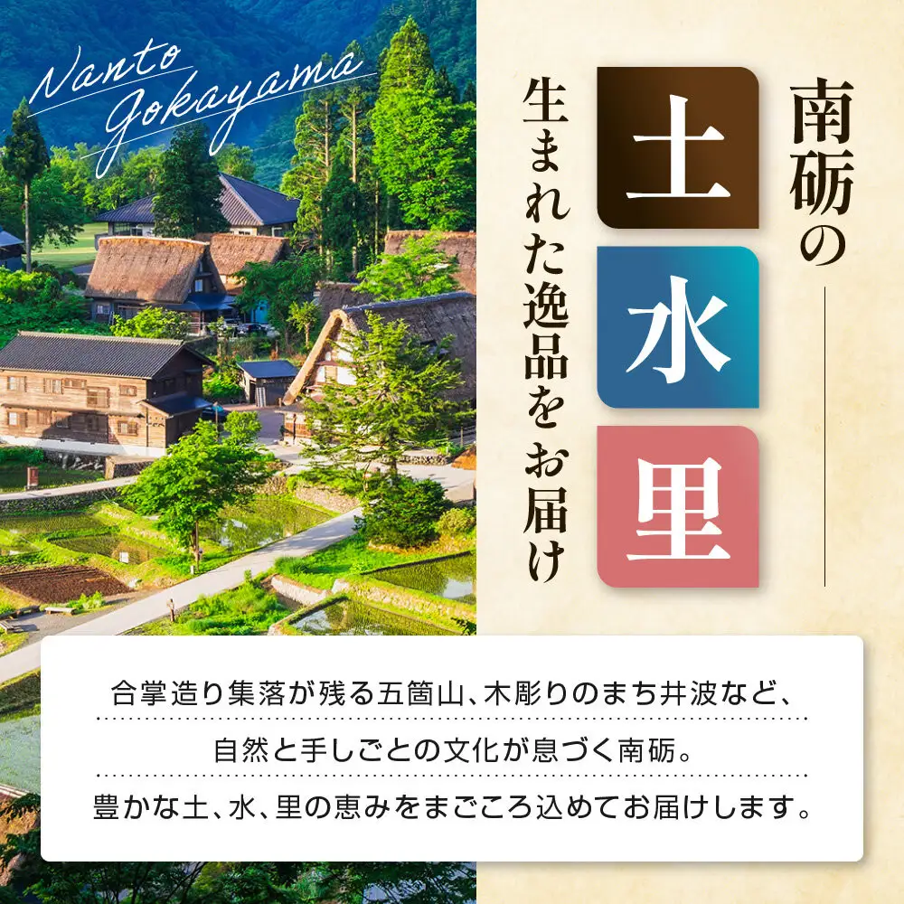 なんと贈り物セットD ソーセージ100ｇ×5種類×各々2個 ベリーハム×2個 《南砺の逸品》