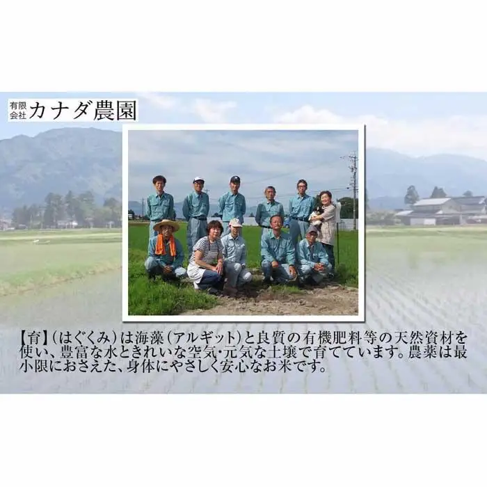 【令和7年産】富山県産こしひかり　育（はぐくみ）白米２個セット 3kg×2個 《南砺の逸品》