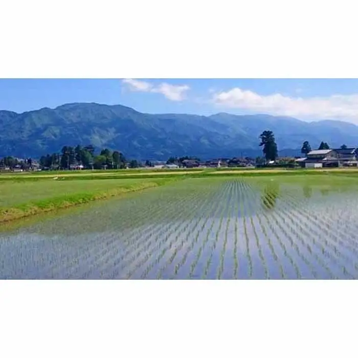 【令和7年産】富山県産こしひかり　育（はぐくみ）白米１０kg《南砺の逸品》