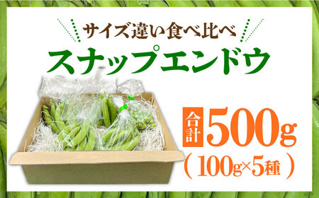 【2027年1月-発送】スナップエンドウ　サイズ違い　食べ比べセット　100g × 5袋 / 小分け / 南島原市 [SFL001]