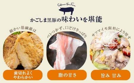 ES-502 【隔月6回定期便】かごしま黒豚餃子 合計240個