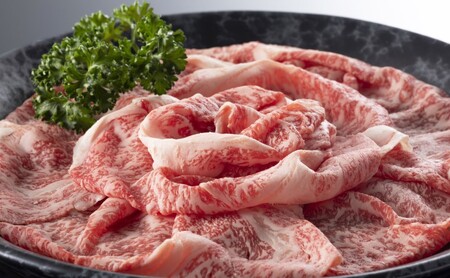 佐賀産和牛 肩ロース しゃぶしゃぶすき焼き用 600g 肉 お肉 牛肉 和牛 牛 ※配送不可:離島 