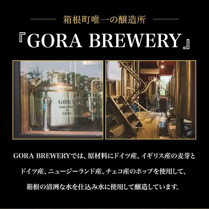 GORA BREWERY〈International Beer Cup 金賞＆銀賞受賞〉人気ビール3種詰め合わせ［ビールビール］