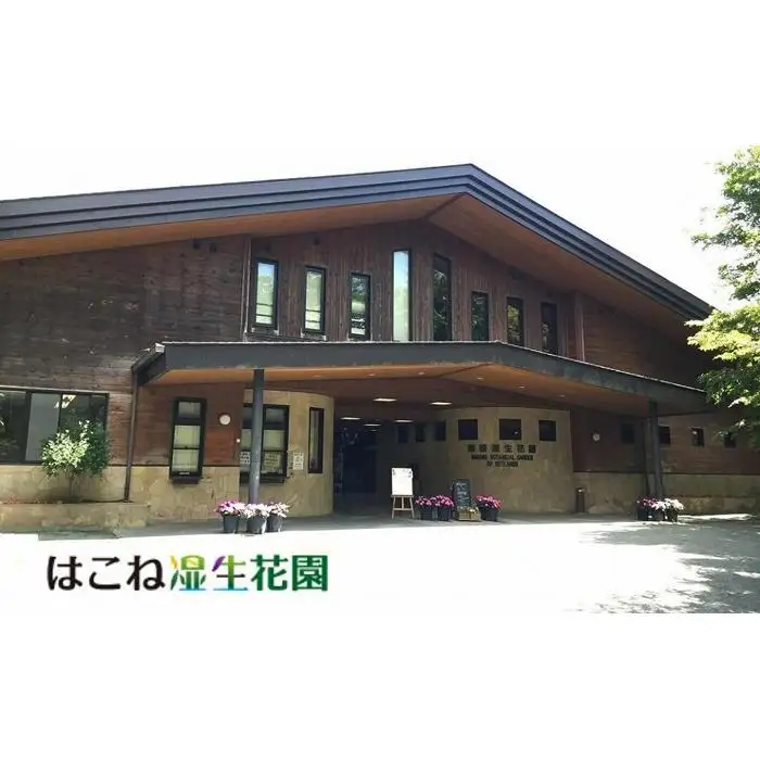 箱根ルルルン～やさしいバラの香り～フェイスマスク★全168枚（6箱セット）［マスク］