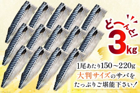 訳あり 塩サバ 3kg [宮城県 気仙沼市 20564146] サバ