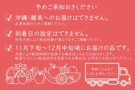MS15 りんご サンふじ（長野県産秀品） 約5kg / 2026年11月下旬～12月中旬頃 配送予定 // 長野県 南信州 さんふじ サンフジ ふじりんご リンゴ 林檎 贈答 ふじ