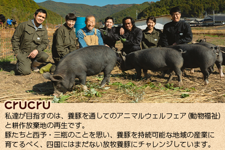 ＜【こだわりの無塩せき】奥地ほうぼく豚を使ったcrucru4種 詰め合わせセット＞ぶた お肉 加工品 おつまみ おかず ウインナー フランク ハム ベーコン ロース スライス 詰合せ BBQ アウトドア キャンプ 愛媛県 西予市【冷凍】『4か月以内に順次出荷予定』MNP0004