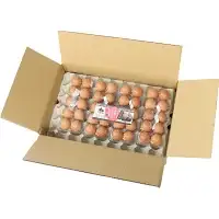 【3カ月定期便】希少品種　岡崎おうはん 紅花の卵 40個×3回【冷蔵配送】 / 田辺市 卵 たまご 有精卵 純国産鶏 鶏卵 平飼い お取り寄せ 卵かけごはん 和歌山県 【kag011-tk】