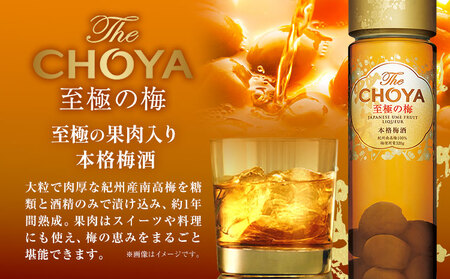 THE CHOYA CRAFT FRUIT 700ml 至極の梅 650ml 計2本