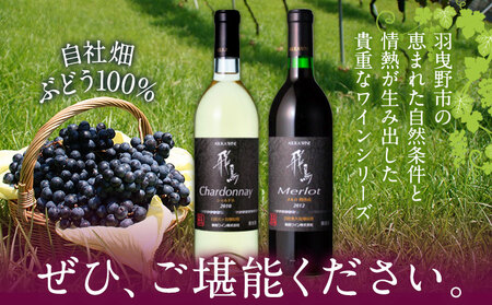 自社畑ぶどう100%赤白セット 750ml×2本 
