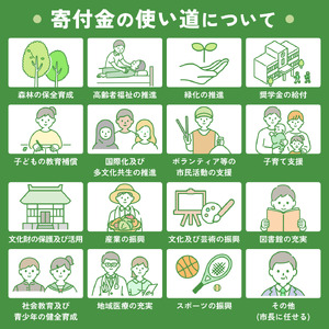 【2026年6月下旬～順次発送 おまかせ3種 ぶどう詰め合わせ 約1.4kg