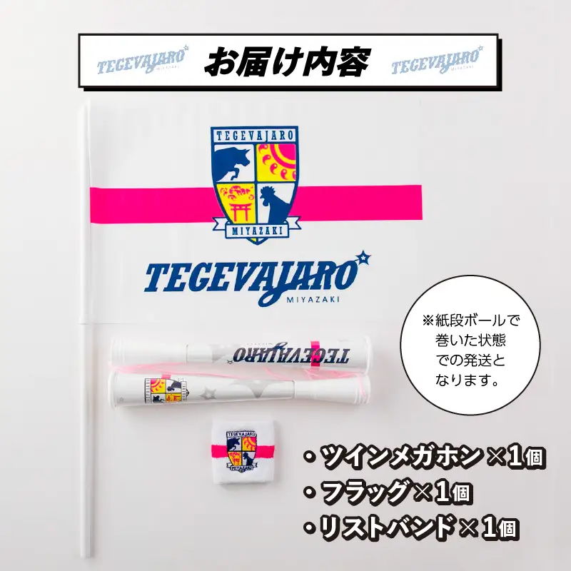 テゲバジャーロ宮崎　応援グッズ3点セット テゲバ 応援 グッズ