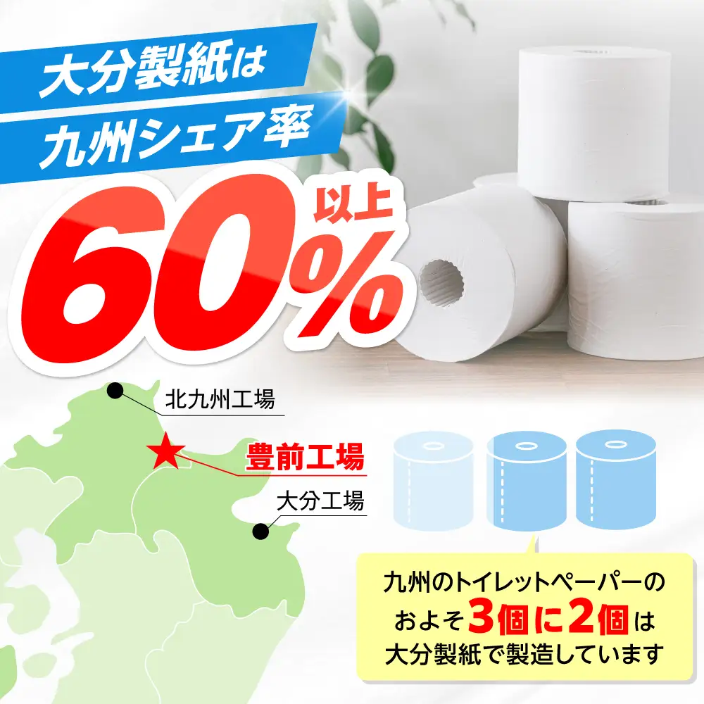 【全6回定期便】【細穴タイプ】トイレットペーパー ダブル 長巻き 65m 6ロール×8パック エコ コアレス [VAA044]