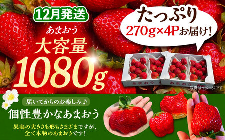 【先行予約】【12月発送】農家直送 あまおう 1080g(270g以上×4P) 土耕栽培[VAB006]