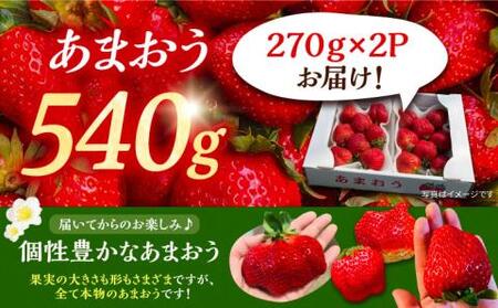 【先行予約】【2月-4月発送】農家直送 あまおう 540g(270g以上×2P) 土耕栽培[VAB014]果物 いちご
