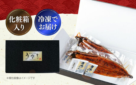 国産うなぎ蒲焼 大5尾 800g[VAD004] 鰻 鰻