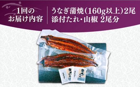 【全6回定期便】福岡県産 うなぎ 蒲焼 大2尾 計320g [VAD012] うなぎ