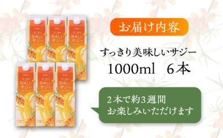 【3か月分を一回で配送】すっきり美味しいサジー 6本 [VAX046]