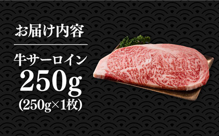 博多和牛 サーロイン ステーキ 250g×1枚 [VBB009] 黒毛和牛 肉 国産 さーろいん ステーキ