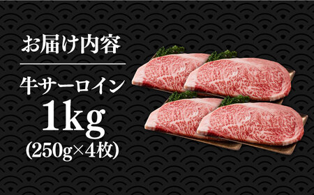 博多和牛 サーロインステーキ 250g×4枚 [VBB010] サーロインステーキ