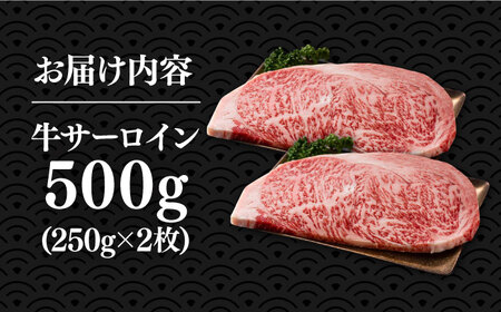 博多和牛 サーロインステーキ 250g×2枚 [VBB011] ステーキ サーロイン